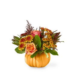 Honeyed Harvest Pumpkin In Waterford Michigan Jacobsen's Flowers
